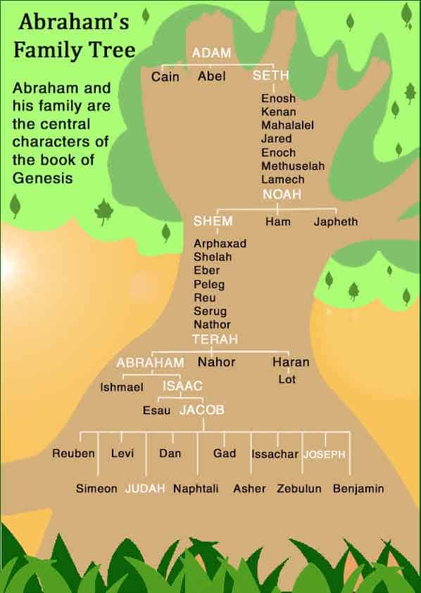 In this survey of Genesis, the descendants of Adam, from Seth to Judah, whose line leads to Jesus Christ, is revealed. 