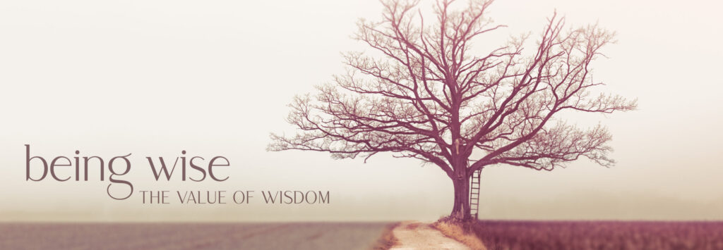 Value of wisdom