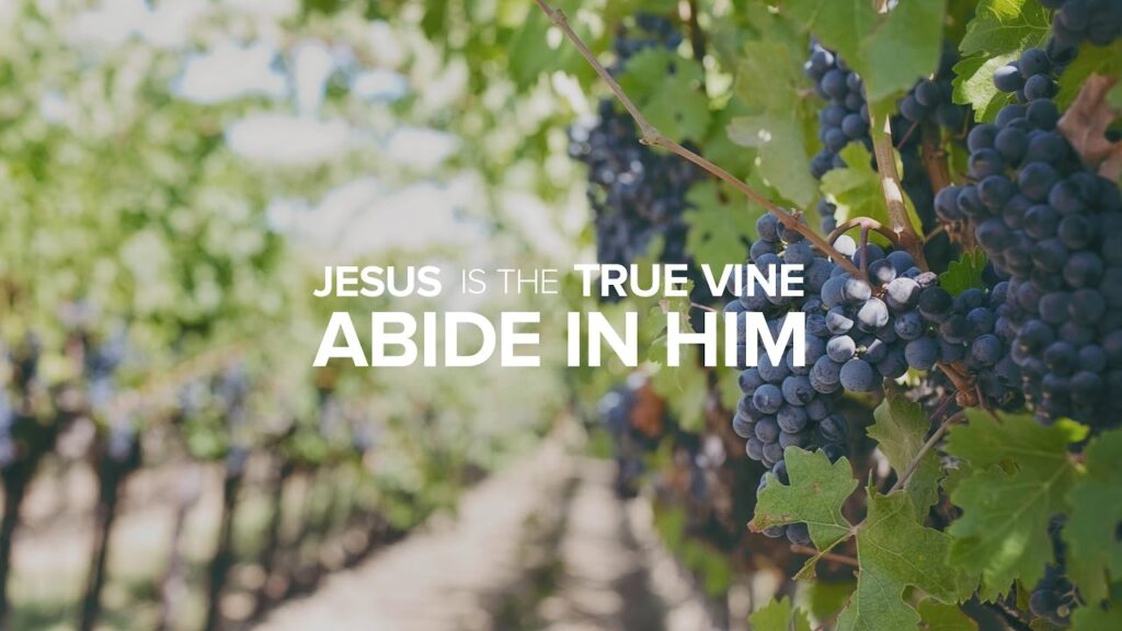 Jesus is the True Vine - Abide in Him