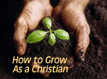 How to Grow as a Christian